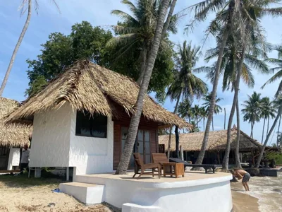 Bungalow - Beach Front — Wild Wood Koh Phangan x Hansa Beach Fitness Resort